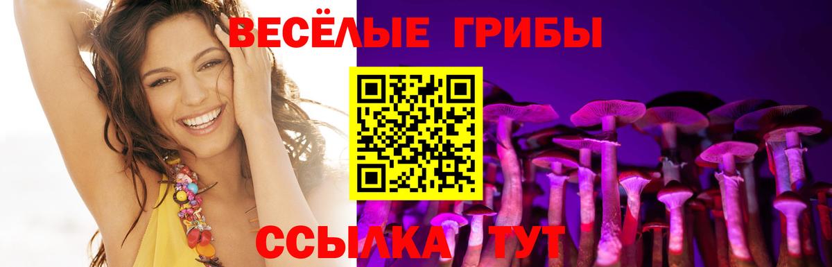 Галлюциногенные грибы Psilocybine cubensis  Вход с VPN  Псилоцибиновые грибы MAGIC MUSHROOMS  Воткинск 